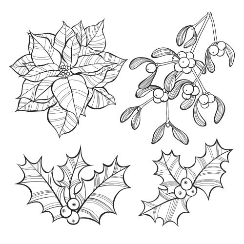 Mistel. Vektor Poinsettia Mistel und Ostron Konturzeichnung auf weißem