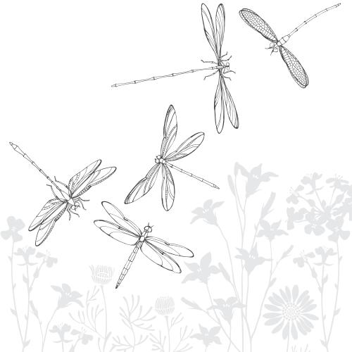 Glockenblume. Vektor graue Silhouetten von Feldblumen auf weißem