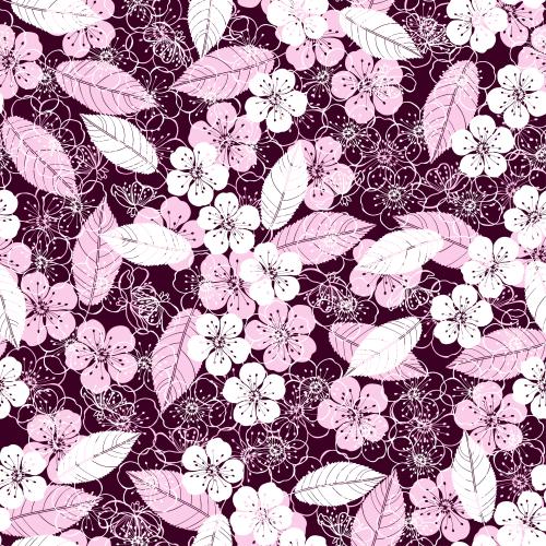 Kirschblüte. Vektor Kirschblüten und Blätter, weiß-rosa auf burgunderfarbenem