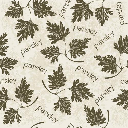 Vektorgrafik petersilienblätter, schriftzug parsley auf texturiertem hellen