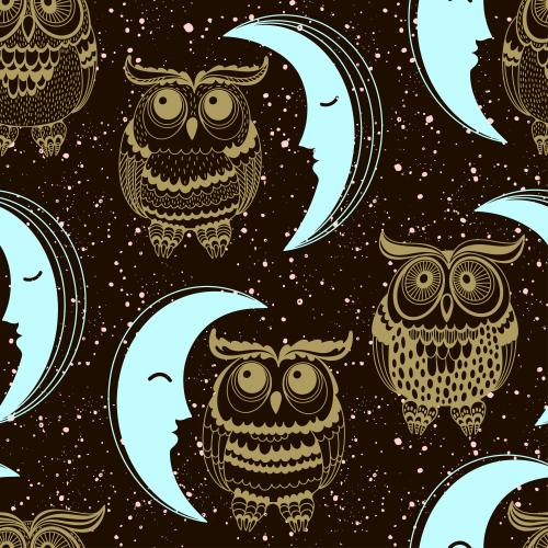 Eule. Vektor Märchenhafte Eulen, Luna und dekorative Sternenpunkte auf schwarzem