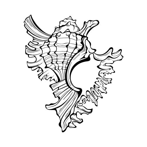 Vektorgrafik muschel auf weissem