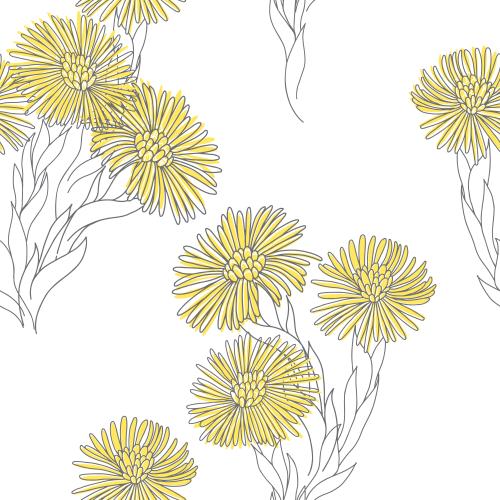 Huflattich. Vektor blumen Mutter und Stiefmutter auf weißem
