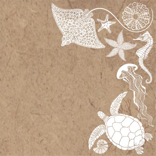 Nautilus. Vektor schildkroete rochen seeigel quaellen seesternen seeigel korallen textplatz-auf-kraftpapier