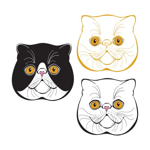 Exotic shorthair. Vektor exotischer Kater, Hübsche Gesichter Auf Weißem, Drei Varianten