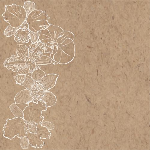 Vektorgrafik orchideen, platz für text auf kraft