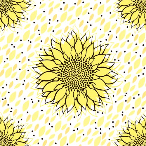 Sonnenblume. Vektor Sonnenblumen, dekorative Blütenblätter auf weißem