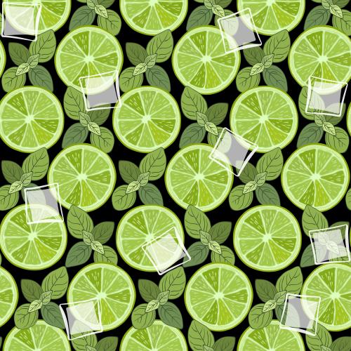 Zitrusfrucht. Vektor Limettenscheiben, Minzblätter und Eiswürfel auf schwarzem