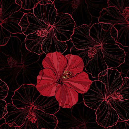 Sommer. Vektor scharfe Silhouette und Konturen von Hibiskusblüten auf schwarzem