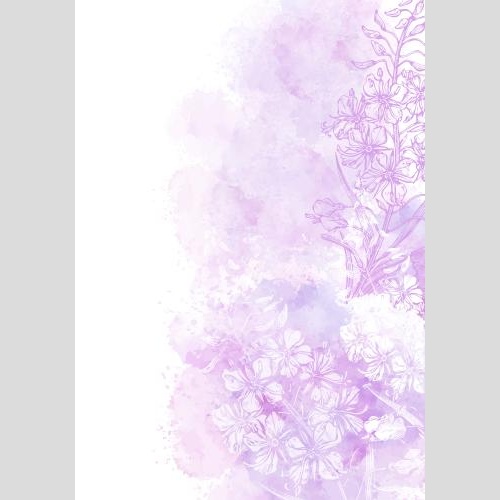 Postkarte. Vektor Kiprey, Ivan-Tee, Kontur und Silhouetten auf rosaem Aquarell, Platz für Text auf weissem