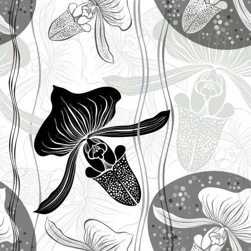 Orchidee. Vektor Orchideen, Konturen und Silhouetten auf weißem
