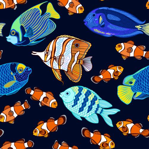 Bild bunte tropische Fische auf dunkelblauem