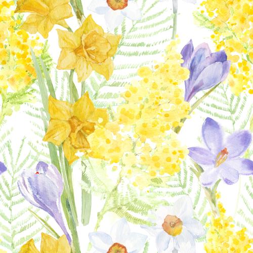 Schneeglöckchen. Vektor Mimose, Krokusse, Narzissen, Schneeglöckchen, Aquarellfrühlingsblumen auf weißem