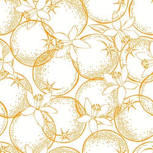 Neroli. Vektor orangen und Neroli auf weißem