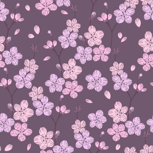 Kirschblüte. Vektor Sakura-Blüten rosiger Töne auf grau-lila