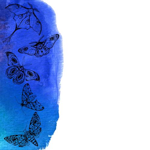 Vektorgrafik nachtfalter, schwarze konturen auf blauem aquarell, platz für text auf weißem