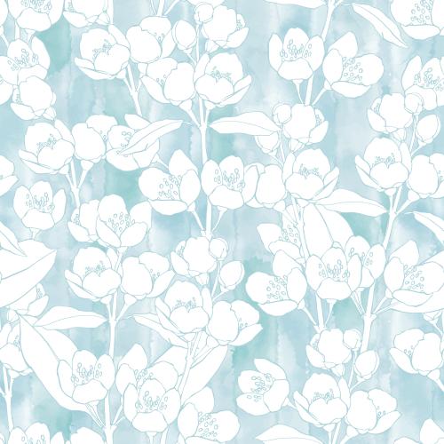 Jasmin. Vektor zweige blühenden Jasmins auf blauem Aquarell