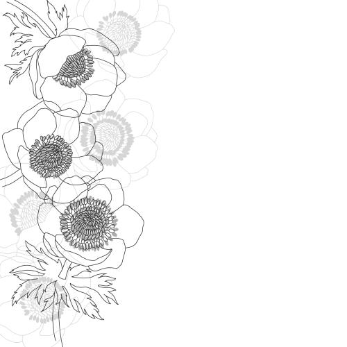 Anemone. Vektor Anemonen, Platz Für Text Auf Weißem