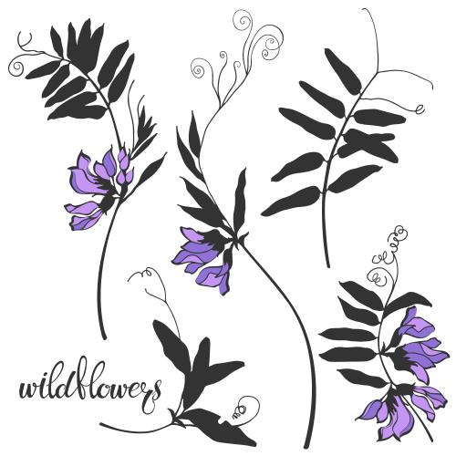Vektorgrafik feldblumen, varianten auf weißem