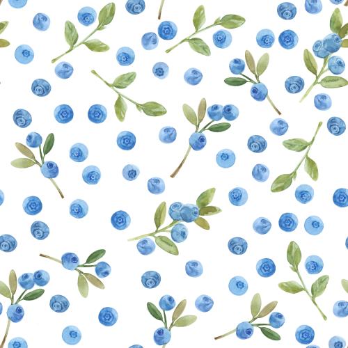 Heidelbeere. Vektor aquarellblaubeere auf weißem