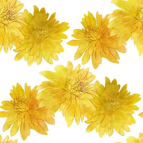Rasterbild aquarell-rudbeckie auf weißem