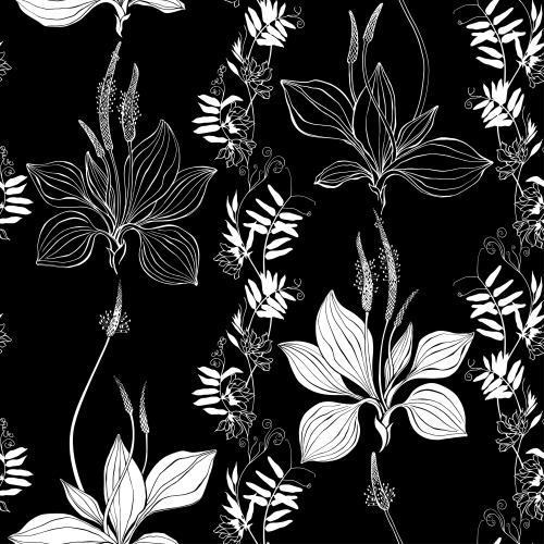 Vektorgrafik feldblumen und gänseblümchen auf schwarzem