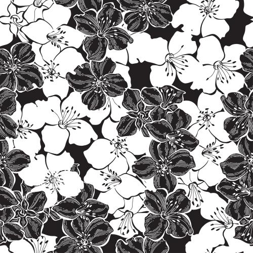 Jasmin. Vektor jasminblumen auf schwarzem