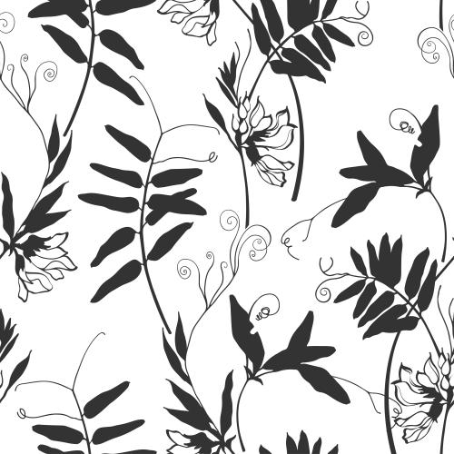 Vektorgrafik monochrom feldblumen auf weissm