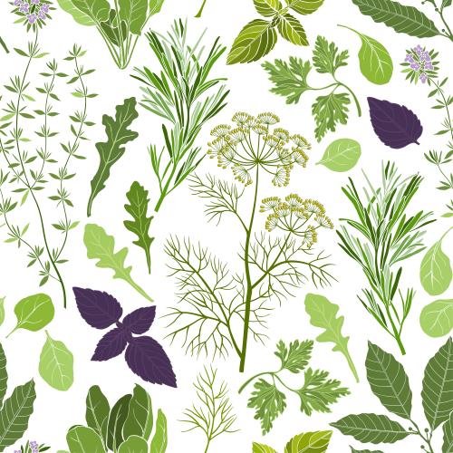 Vektorgrafik thymian, lorbeer, rosmarin, kerbel, petersilie, basilikum, rucola, spinat, farbige silhouetten auf weiß