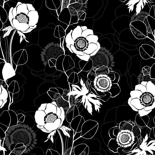 Eukalyptus. Vektor anemone und Eukalyptuszweige Silhouetten und Konturen auf schwarzem