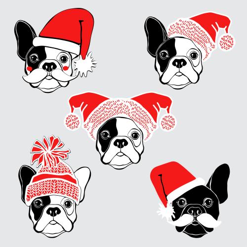 Hund. Vektor Süße Gesichter der Französischen Bulldoggen in Weihnachtsmützen