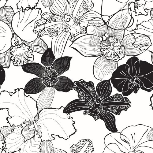 Vektorgrafik orchideen, schwarze konturen und silhouetten auf weißem
