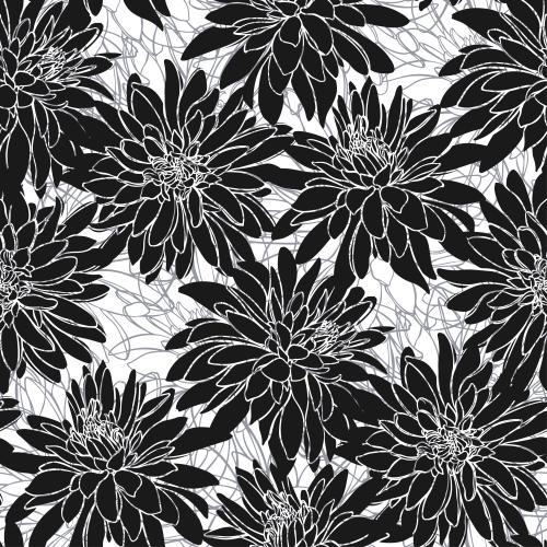 Rudbeckie. Vektor Rudbeckia, Silhouetten und Konturen auf weißem