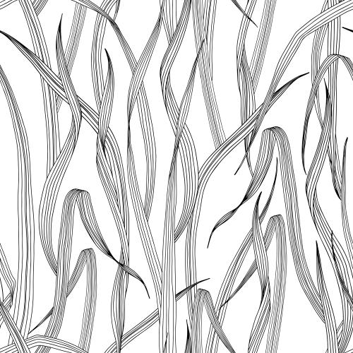 Vektorgrafik gras auf weißem