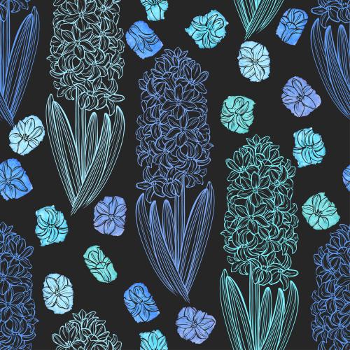Hyazinthe. Vektor Hyazinthen, farbige Aquarellfragmente auf schwarzem