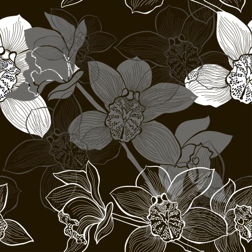Orchidee. Vektor monochrome Orchideenblumen auf schwarzem