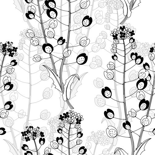 Vektorgrafik wiesenblumen auf weißem