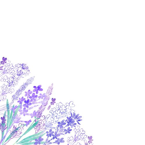 Rasterbild aquarelllavendel, platz für text auf weißem, winklige komposition