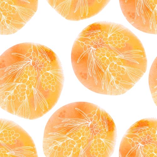 Sanddorn. Vektor Hagebutte, Zweige mit Beeren auf runden orangenen Wasserfarbenfragmenten auf weißem