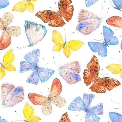 Rasterbild aquarellschmetterlinge auf weißem