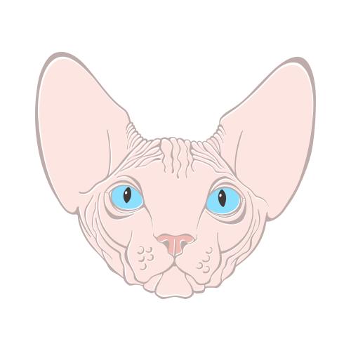 Sphynx katze. Vektor Sphinxkatze, hübsches farbiges Gesicht auf weißem