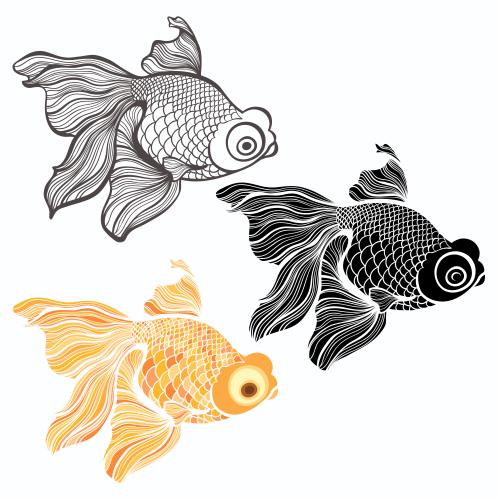 Vektorgrafik fische, drei isolierte varianten auf weißem