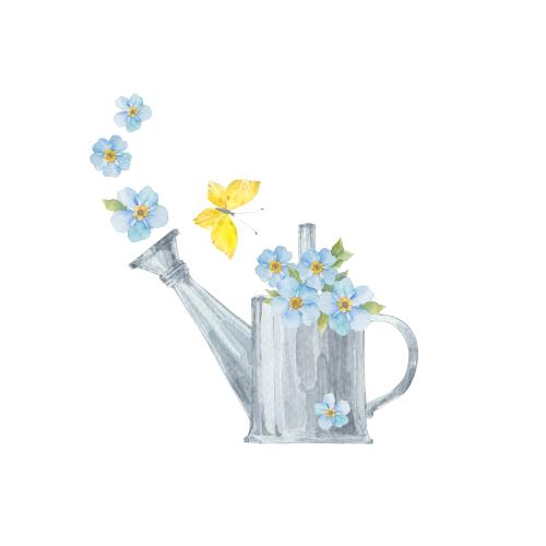 Vergissmeinnicht. Vektor Frühlingskomposition mit einem Schmetterling und einem Aquarellblumenbouquet Vergissmeinnicht in der Gießkanne auf weißem