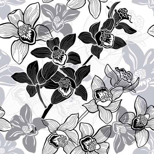 Vektorgrafik monochrom-orchideen auf weißem