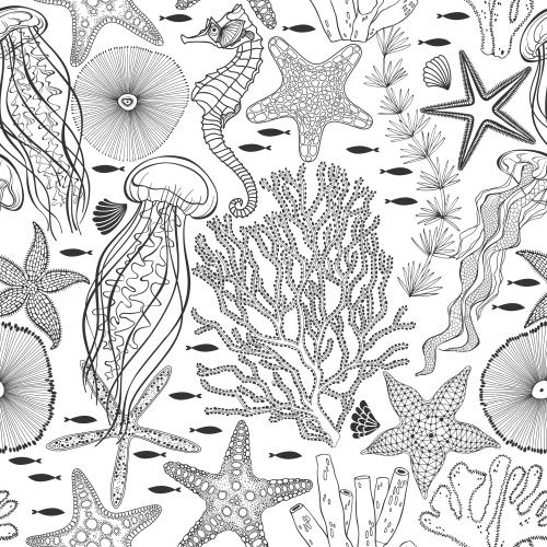 Qualle. Vektor Meerespferdchen, Quallen, Fische, Muscheln, Meersterne, Korallen, Unterwasser-Pflanzen auf weißem