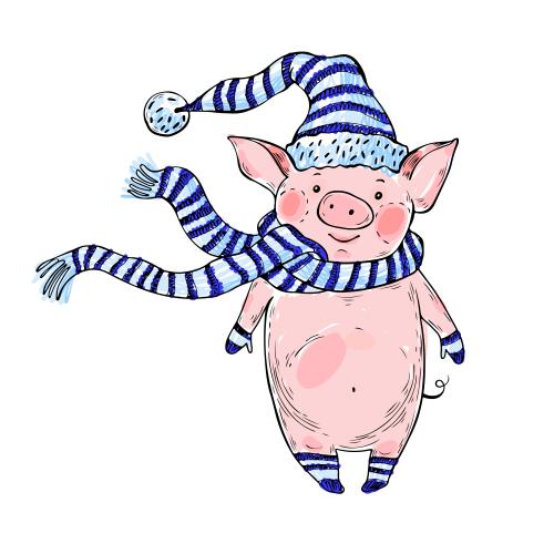 Objekt. Vektor maltäsch schweinchen in mutze, schal, handschuhen und socken auf weisem