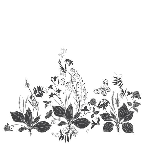 Hirtentäschel. Vektor Gänseblümchen, Pimpinella, Kamille, Klee, Feldblumen, Schmetterling, Bienen, Textfeld auf weiß