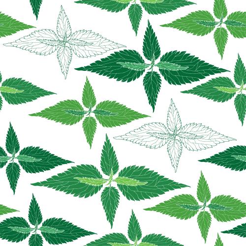 Blätter. Vektor Urtica, farbige Konturen und Silhouetten auf weißem