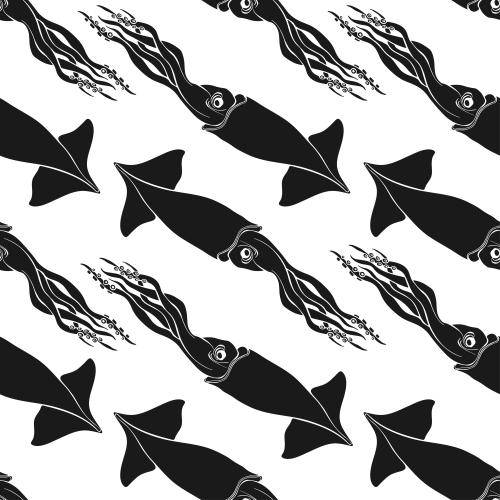 Tintenfisch. Vektor Tintenfische, schwarze Silhouetten auf weißem