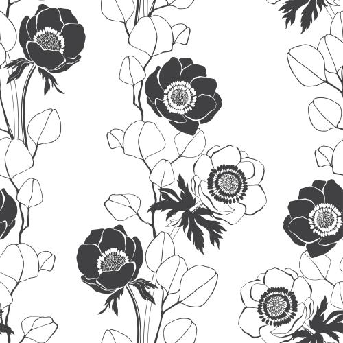 Anemone. Vektor anemonen und Eukalyptuszweige, Silhouetten und Konturen auf weißem